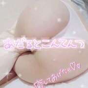 ヒメ日記 2026/01/25 11:30 投稿 ねね 激安ドットコム