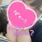 ヒメ日記 2026/02/07 07:53 投稿 ねね 激安ドットコム