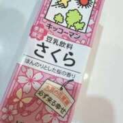 ヒメ日記 2026/02/08 19:45 投稿 じゅん 東京エステコレクション 新橋・銀座