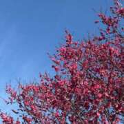 ヒメ日記 2026/03/14 17:00 投稿 じゅん 東京エステコレクション 新橋・銀座