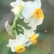 ヒメ日記 2026/03/19 09:09 投稿 あやこ パラダイス(泉大津)