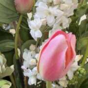 ヒメ日記 2026/03/31 11:09 投稿 あやこ パラダイス(泉大津)