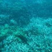 ヒメ日記 2026/01/26 19:03 投稿 えま 恵比寿ニューヨーク