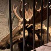 ヒメ日記 2026/03/28 17:36 投稿 じゅんな 奥様メモリアル