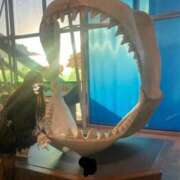 ヒメ日記 2026/03/29 18:52 投稿 あかり ハンドキャンパス池袋