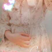 目白みいな いよいよ明日… 五十路マダム 浜松店(カサブランカグループ)