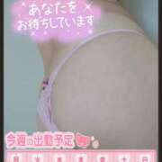 目白みいな お し り 〜 五十路マダム 浜松店(カサブランカグループ)