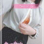 ヒメ日記 2026/03/04 12:48 投稿 目白みいな 五十路マダム 浜松店(カサブランカグループ)