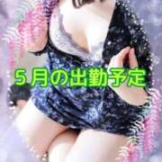 ヒメ日記 2026/05/03 11:30 投稿 目白みいな 五十路マダム 浜松店(カサブランカグループ)