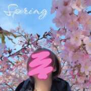 ヒメ日記 2026/03/16 09:39 投稿 成海（なるみ） 痴女CLUB アンダーカバー