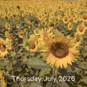 ヒメ日記 2026/07/30 15:19 投稿 成海（なるみ） 痴女CLUB アンダーカバー