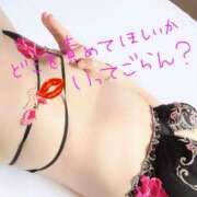 ヒメ日記 2026/09/28 12:59 投稿 成海（なるみ） 痴女CLUB アンダーカバー