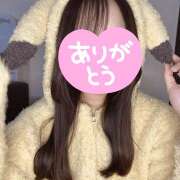 ヒメ日記 2026/01/21 15:00 投稿 ほの みつばちマーヤZ