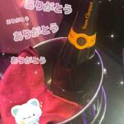 ヒメ日記 2026/03/19 13:17 投稿 ほの みつばちマーヤZ