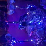 ヒメ日記 2026/04/01 18:26 投稿 ほの みつばちマーヤZ