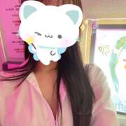 ヒメ日記 2026/04/02 20:05 投稿 ほの みつばちマーヤZ