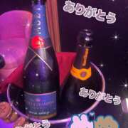 ヒメ日記 2026/04/21 13:56 投稿 ほの みつばちマーヤZ