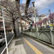 ヒメ日記 2026/03/29 09:50 投稿 若槻 しのぶ ベストマダム