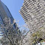 まな バースデーありがとうございました🎈 エマニエル秋葉原