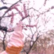 ヒメ日記 2026/05/10 13:34 投稿 さゆり BAD COMPANY 札幌