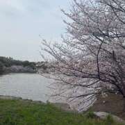 ヒメ日記 2026/03/31 10:23 投稿 あかり オースリー