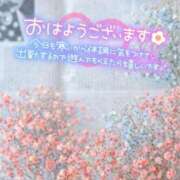 ヒメ日記 2026/02/11 13:02 投稿 八神　るか 30・40・50代☆人妻熟女コレクション