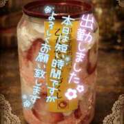 ヒメ日記 2026/02/28 10:02 投稿 八神　るか 30・40・50代☆人妻熟女コレクション