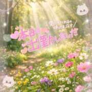 ヒメ日記 2026/03/12 12:10 投稿 八神　るか 30・40・50代☆人妻熟女コレクション