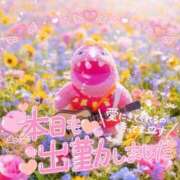 ヒメ日記 2026/03/17 11:01 投稿 八神　るか 30・40・50代☆人妻熟女コレクション