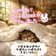 ヒメ日記 2026/04/01 11:48 投稿 八神　るか 30・40・50代☆人妻熟女コレクション