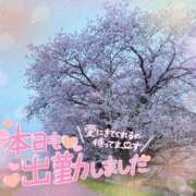 ヒメ日記 2026/04/07 15:02 投稿 八神　るか 30・40・50代☆人妻熟女コレクション
