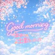 ヒメ日記 2026/04/18 11:01 投稿 八神　るか 30・40・50代☆人妻熟女コレクション