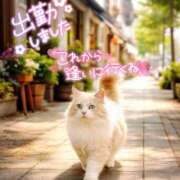 ヒメ日記 2026/04/25 11:33 投稿 八神　るか 30・40・50代☆人妻熟女コレクション