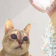 ヒメ日記 2026/03/07 17:21 投稿 前立腺女王・焔 ひかり様 Eternity～若妻の悪戯～（エタニティー）