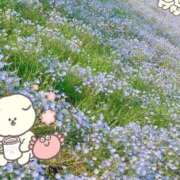 ヒメ日記 2026/04/21 19:32 投稿 めめ 僕らのぽっちゃリーノin野田