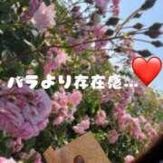 ヒメ日記 2026/05/20 18:01 投稿 愛乃(あいの) グランドオペラ福岡