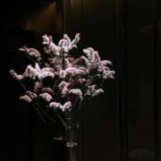 ヒメ日記 2026/03/01 08:31 投稿 宇咲(うさ) グランドオペラ福岡