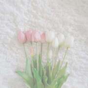 栞花(かんな) 満枠っ🎠🌷 グランドオペラ福岡