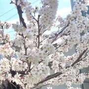 栞花(かんな) 次回の出勤予定。。🧸💐 グランドオペラ福岡