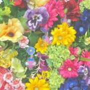 栞花(かんな) 7月出勤予定🌻🎐 グランドオペラ福岡