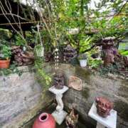 ヒメ日記 2026/02/14 18:01 投稿 乃彩(のあ) グランドオペラ福岡