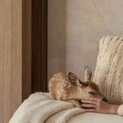 ヒメ日記 2026/01/26 13:21 投稿 美咲(みさき) グランドオペラ福岡