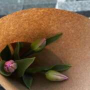 ヒメ日記 2026/01/30 15:34 投稿 美咲(みさき) グランドオペラ福岡