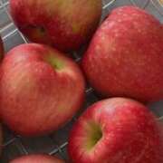 ヒメ日記 2026/02/13 12:36 投稿 美咲(みさき) グランドオペラ福岡