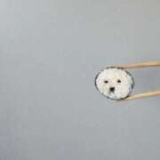 ヒメ日記 2026/03/08 09:11 投稿 美咲(みさき) グランドオペラ福岡