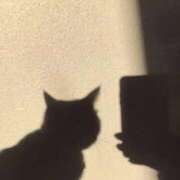 ヒメ日記 2026/03/08 20:41 投稿 美咲(みさき) グランドオペラ福岡