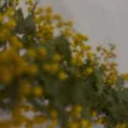 ヒメ日記 2026/03/19 10:01 投稿 美咲(みさき) グランドオペラ福岡