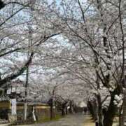 ヒメ日記 2026/03/29 11:31 投稿 美咲(みさき) グランドオペラ福岡