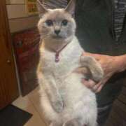 ヒメ日記 2026/02/13 19:02 投稿 美月(みづき) グランドオペラ福岡