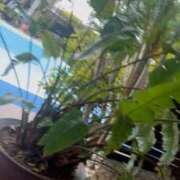 ヒメ日記 2026/04/13 08:46 投稿 美月(みづき) グランドオペラ福岡